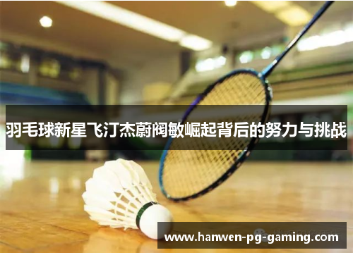 羽毛球新星飞汀杰蔚阀敏崛起背后的努力与挑战