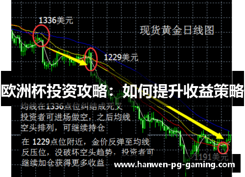 欧洲杯投资攻略：如何提升收益策略